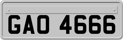 GAO4666