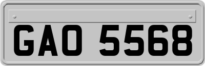 GAO5568