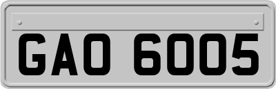 GAO6005