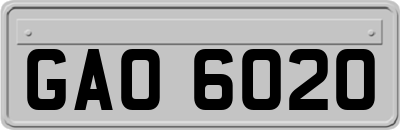 GAO6020