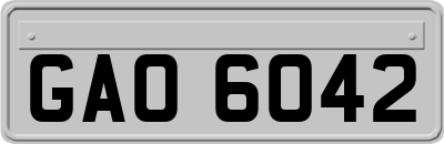 GAO6042