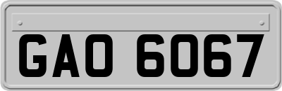 GAO6067