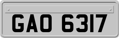 GAO6317