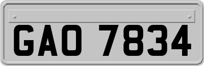 GAO7834