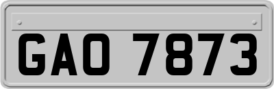 GAO7873