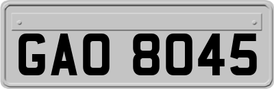 GAO8045