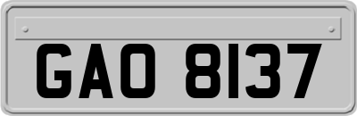 GAO8137
