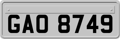 GAO8749
