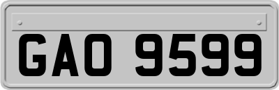 GAO9599