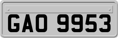 GAO9953