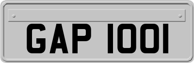 GAP1001
