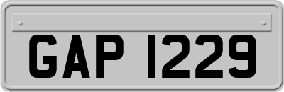 GAP1229