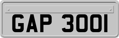 GAP3001