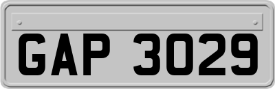 GAP3029