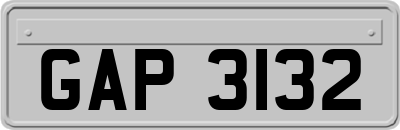 GAP3132