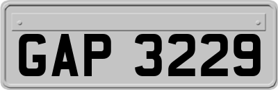 GAP3229
