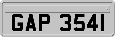GAP3541