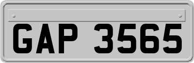 GAP3565