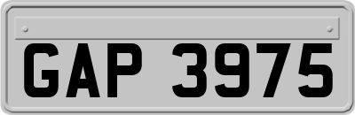 GAP3975