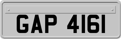 GAP4161