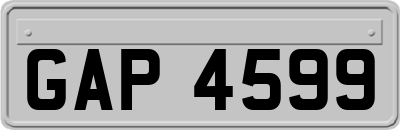 GAP4599