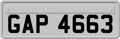 GAP4663