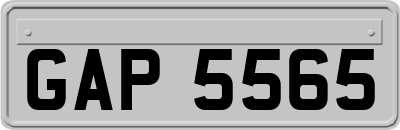 GAP5565