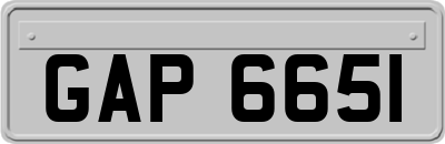 GAP6651