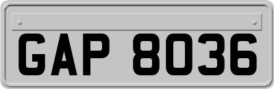 GAP8036