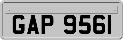 GAP9561