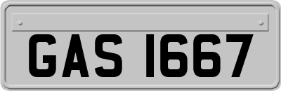 GAS1667
