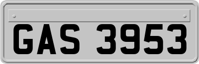 GAS3953