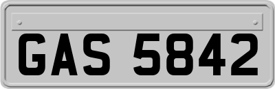 GAS5842