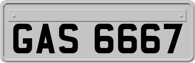 GAS6667
