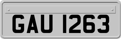 GAU1263