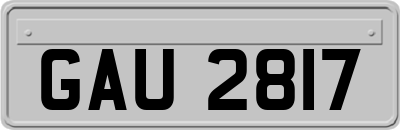 GAU2817