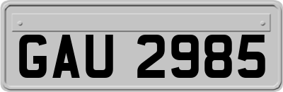 GAU2985