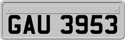 GAU3953