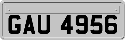 GAU4956