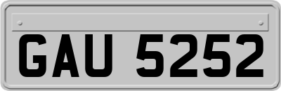 GAU5252