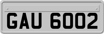 GAU6002