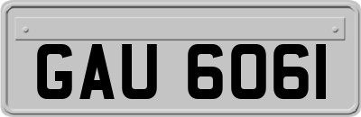 GAU6061