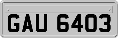 GAU6403