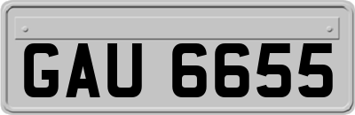 GAU6655
