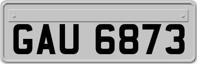 GAU6873