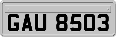GAU8503