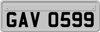 GAV0599