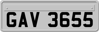GAV3655