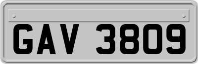 GAV3809