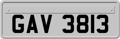 GAV3813
